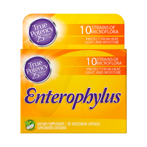 Enterophylus - Image 2