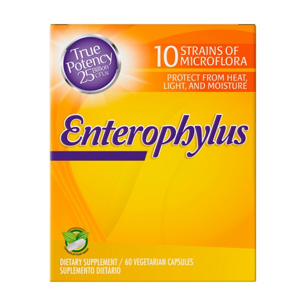 Enterophylus - Image 3